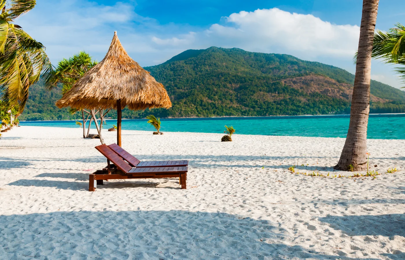 Туры на Найтон 2025