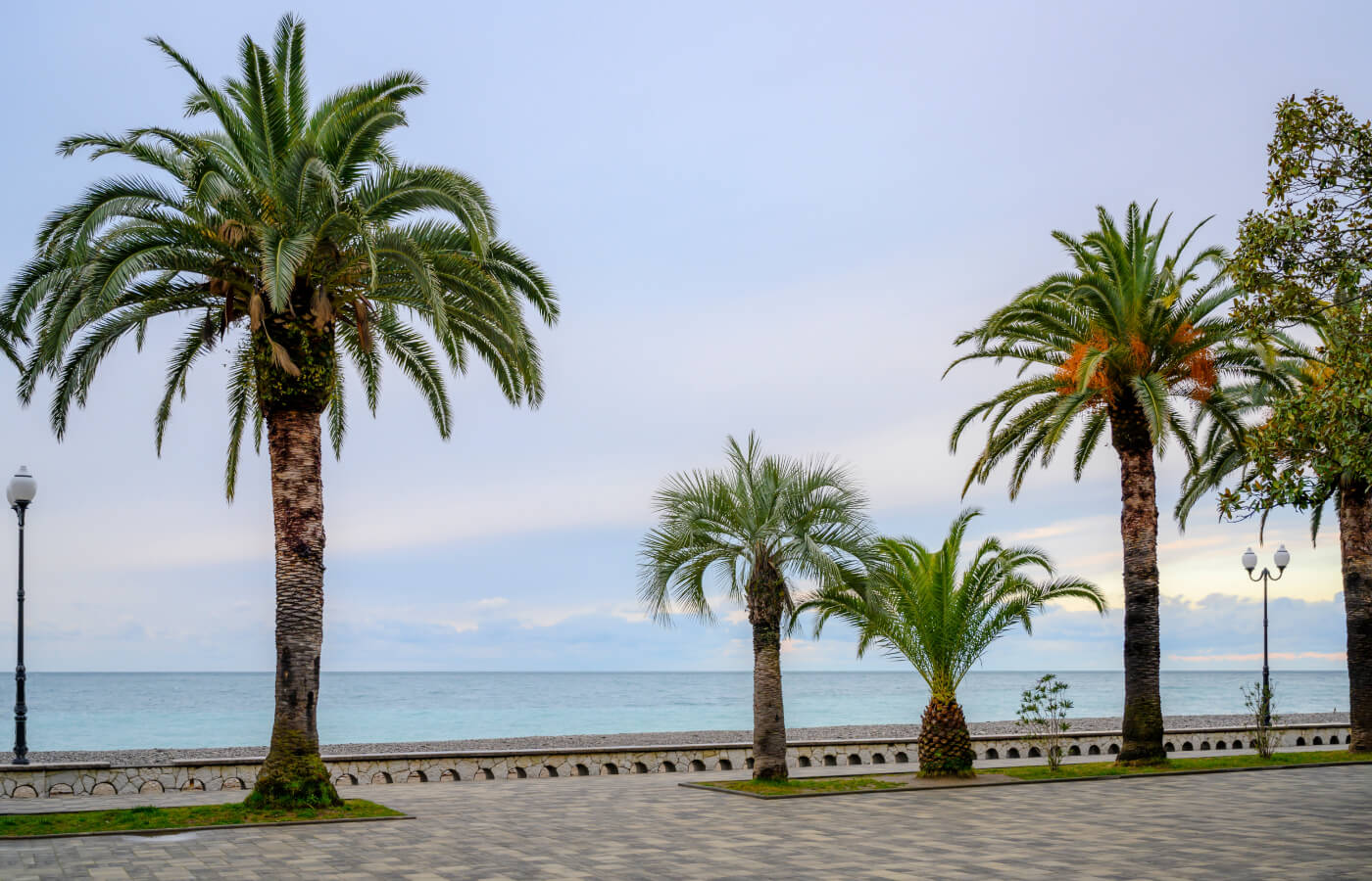 Отели Гагры из Саратова