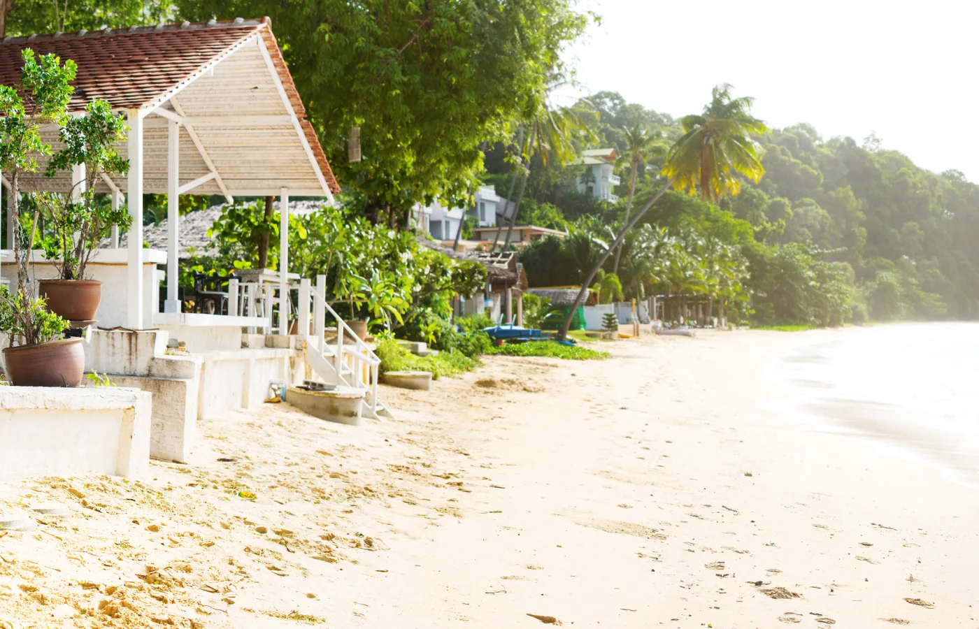 Туры в Панву 2025